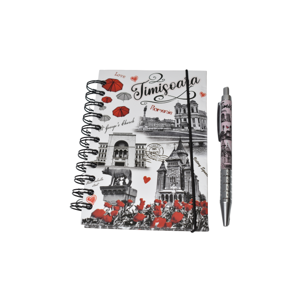 Agendă și pix - Ilustrații Timișoara